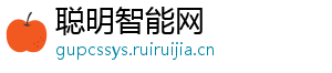 聪明智能网
